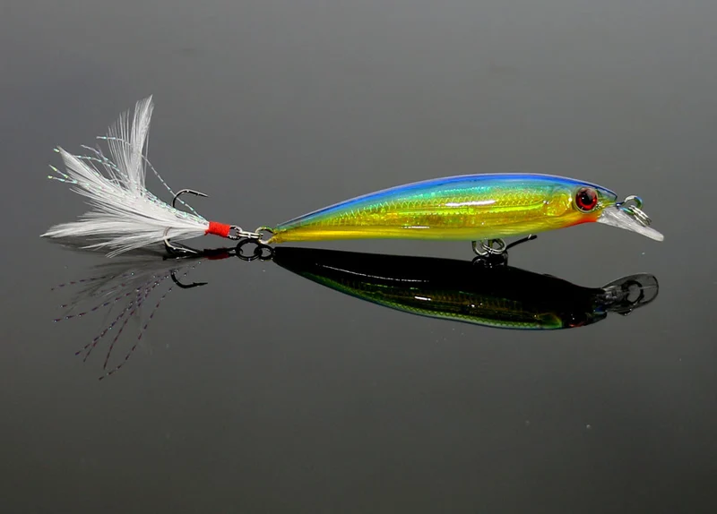Hard Bait With Feather Hooks