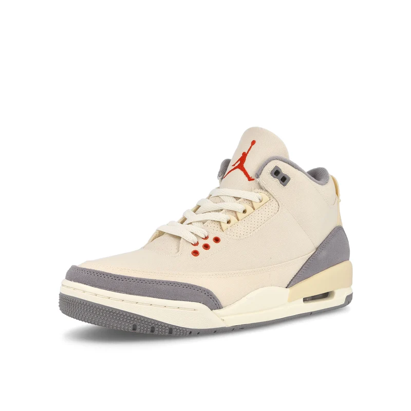 Air Jordan 3 Retro SE