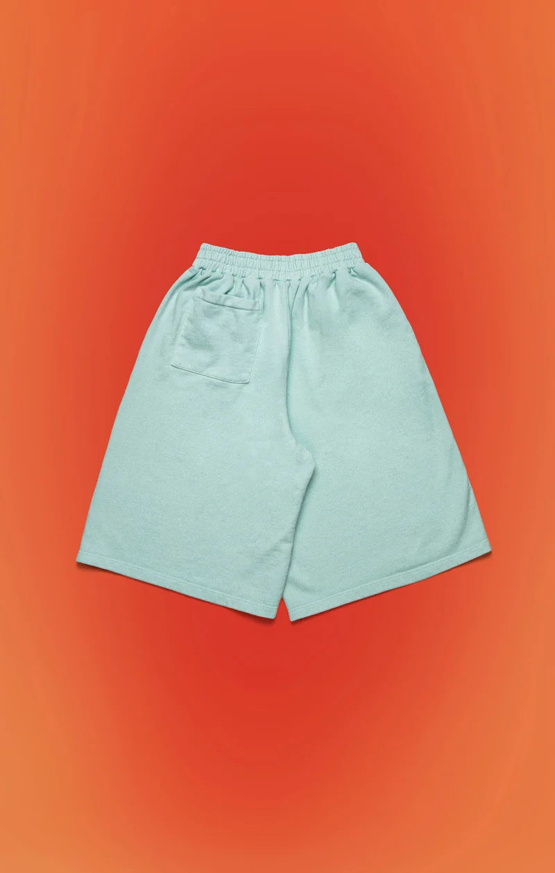Unisex Shorts PDF X Champion