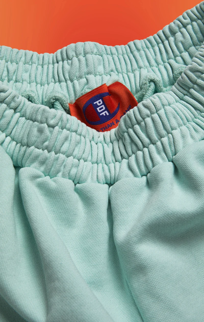 Unisex Shorts PDF X Champion