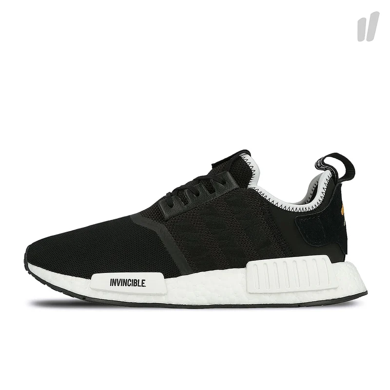 consortium nmd r1