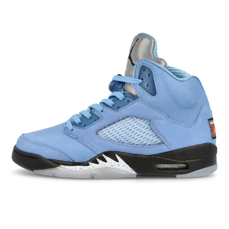 Air Jordan 5 Retro SE