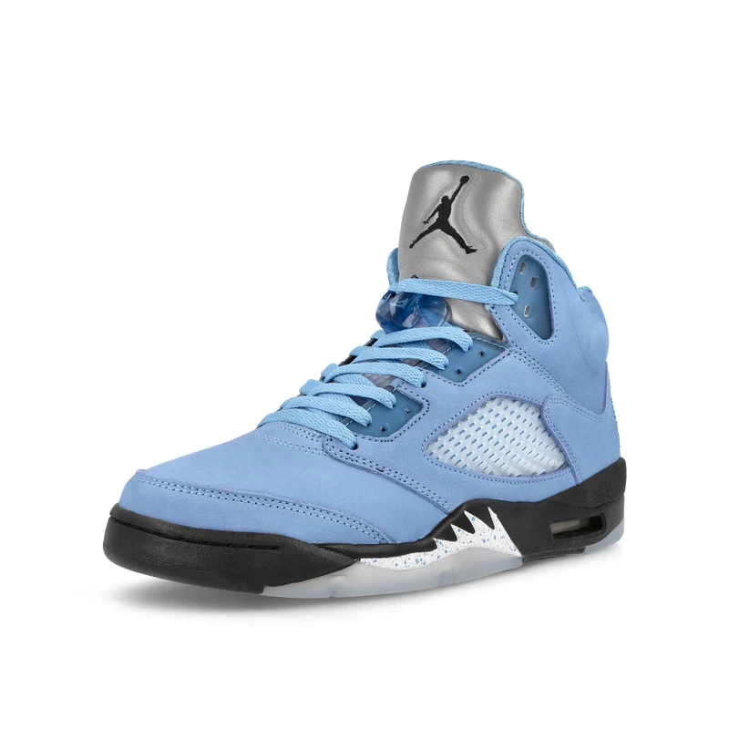 Air Jordan 5 Retro SE