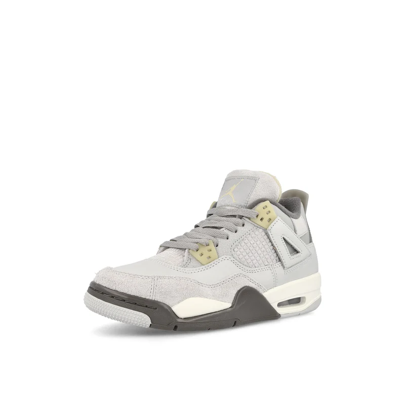 Air Jordan 4 Retro SE GS