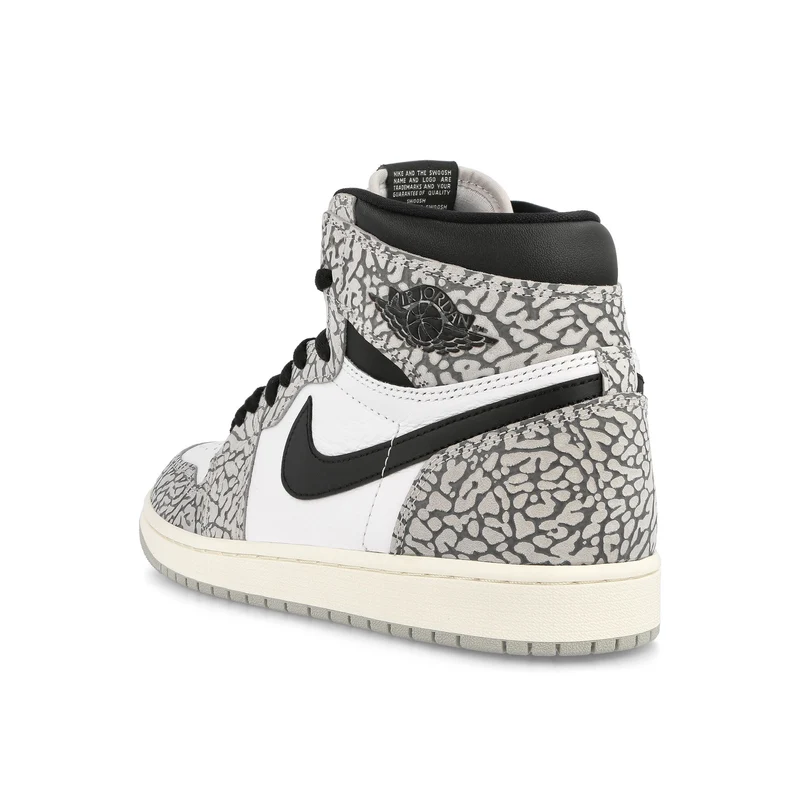 Air Jordan 1 Retro High OG