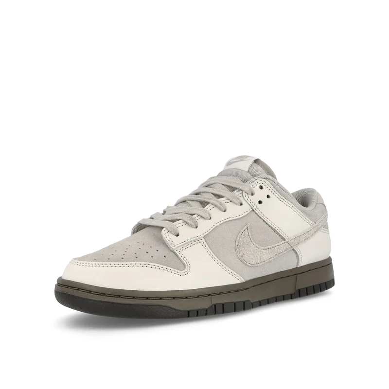 Dunk Low Retro
