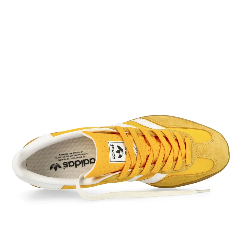 Gazelle Indoor