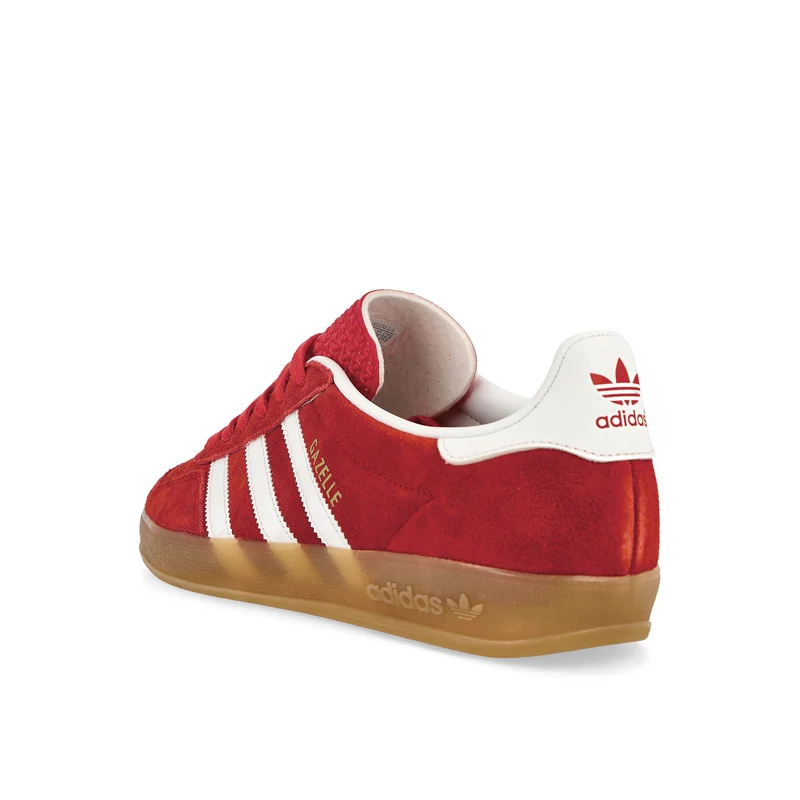 Gazelle Indoor