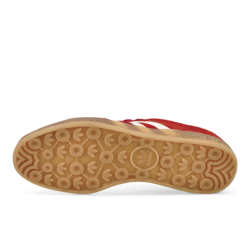 Gazelle Indoor