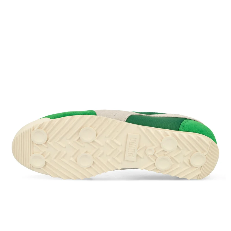 Arizona Nylon