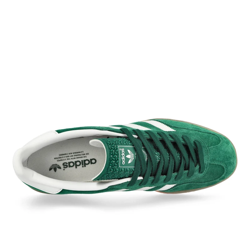 Gazelle Indoor
