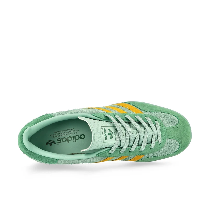 Gazelle Indoor W