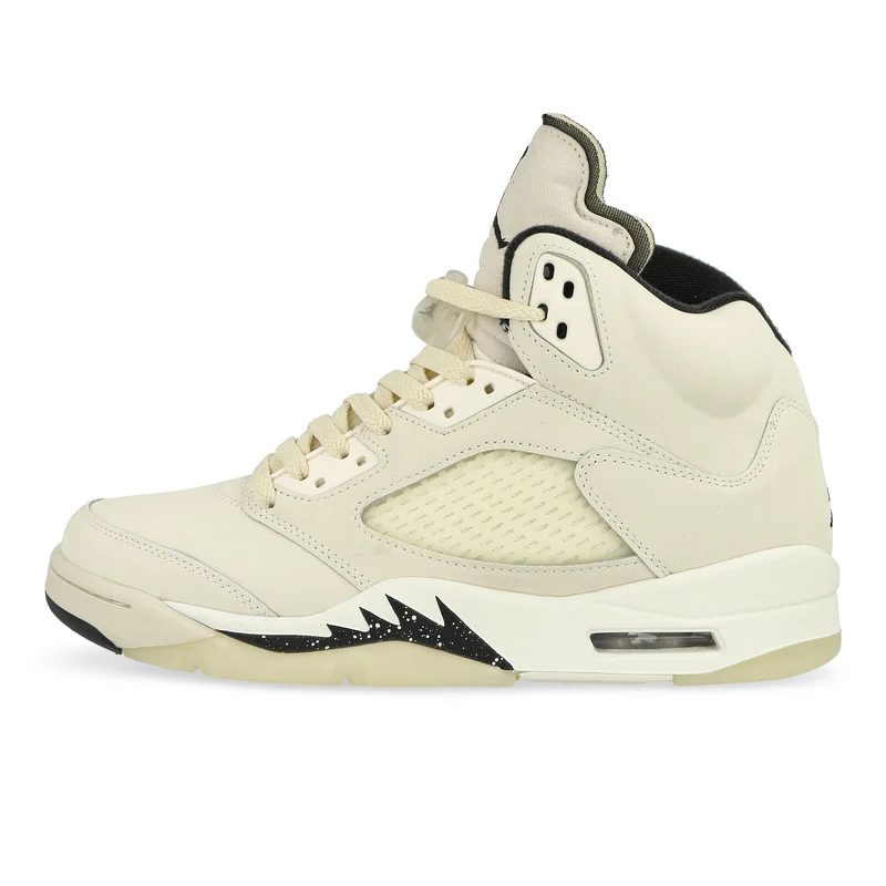 Air Jordan 5 Retro SE