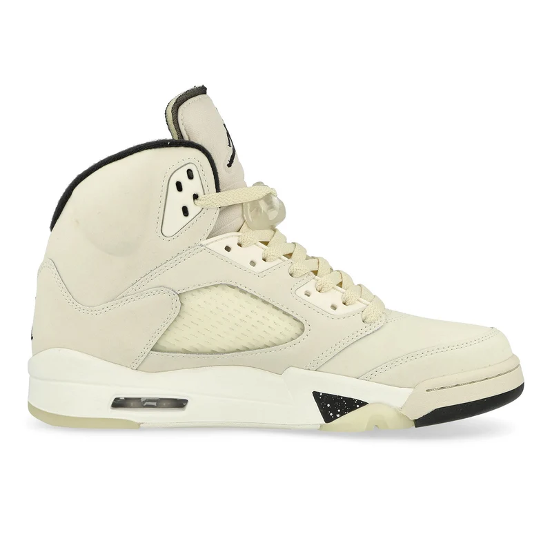 Air Jordan 5 Retro SE