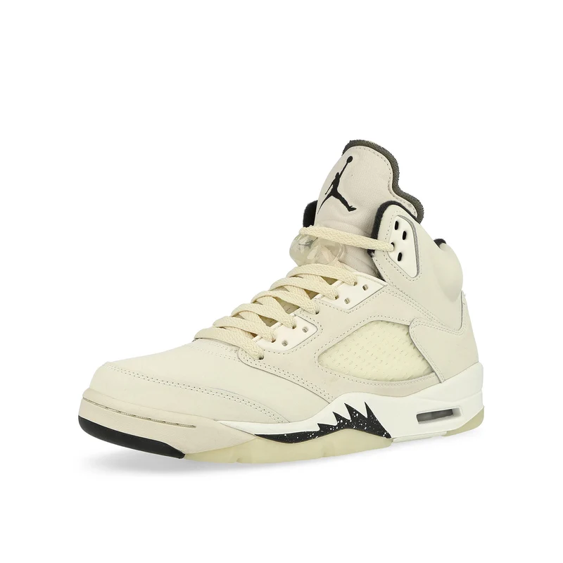 Air Jordan 5 Retro SE