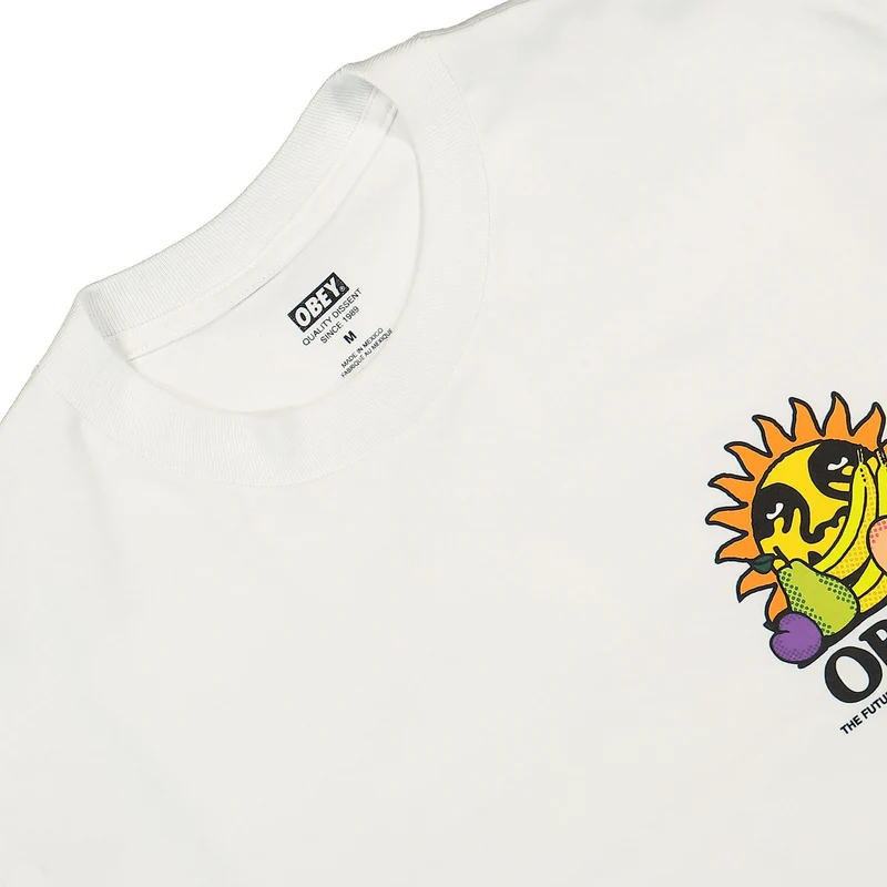 The Future Is The Fruits Of Our Labor T-Shirt
