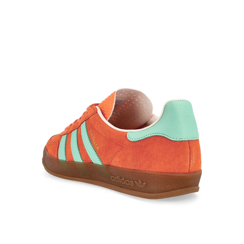 Gazelle Indoor