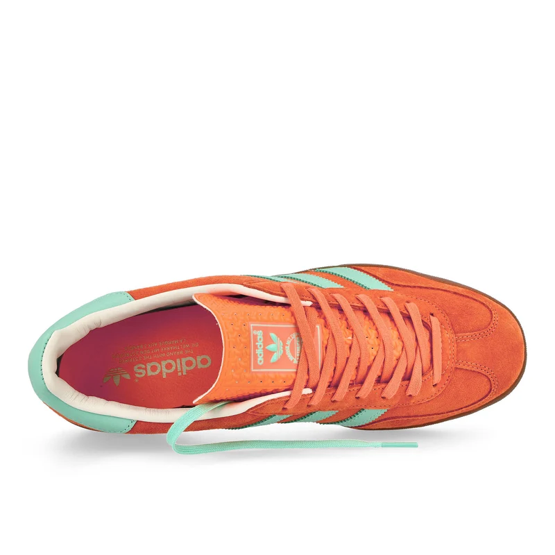 Gazelle Indoor