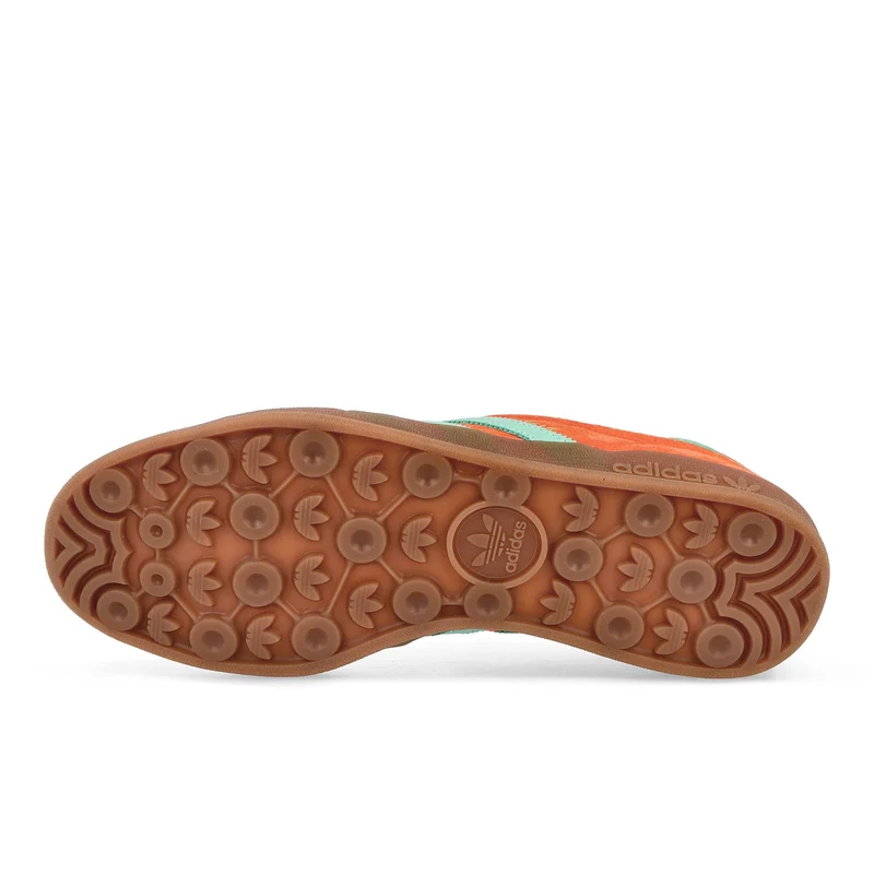 Gazelle Indoor
