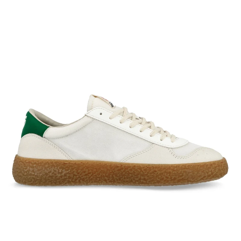 4.05 Polly Evergreen