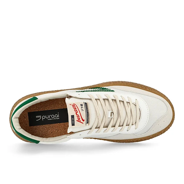 4.05 Polly Evergreen