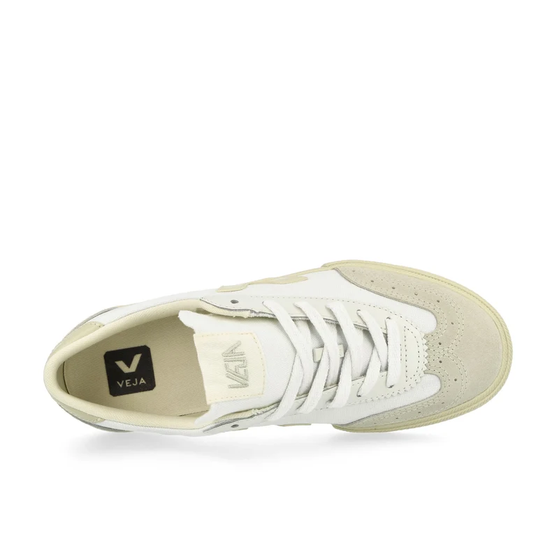 W Volley Canvas