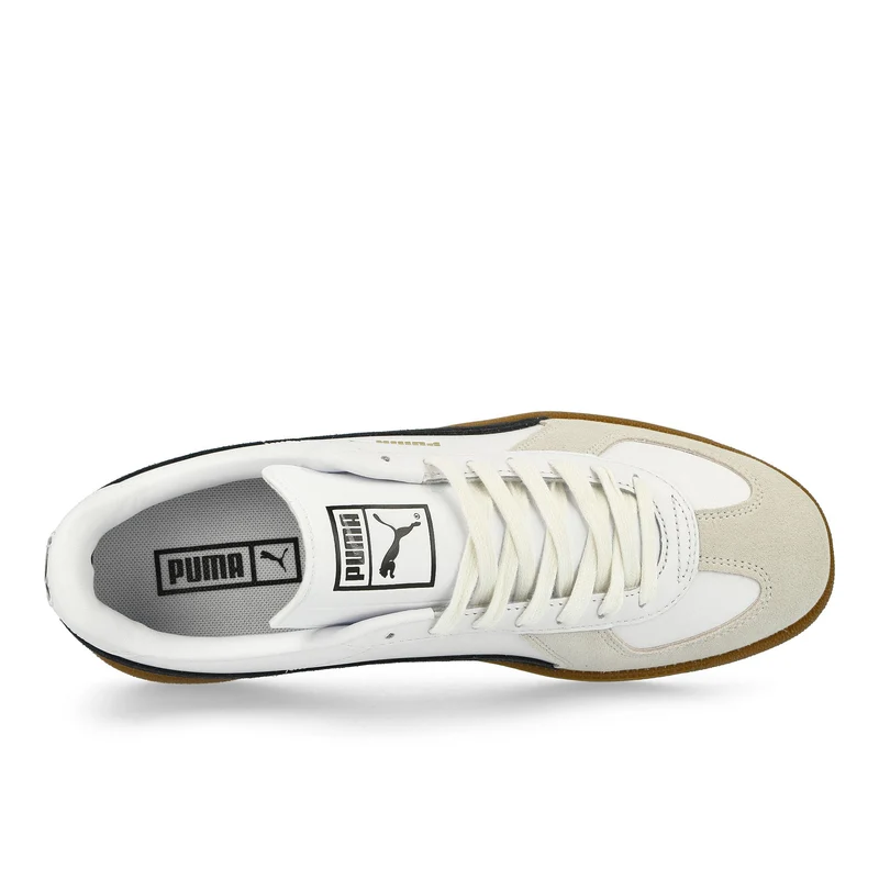 Army Trainer