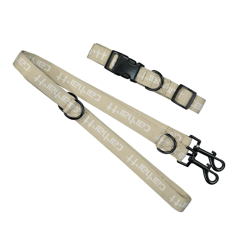 Script Dog Leash & Collar