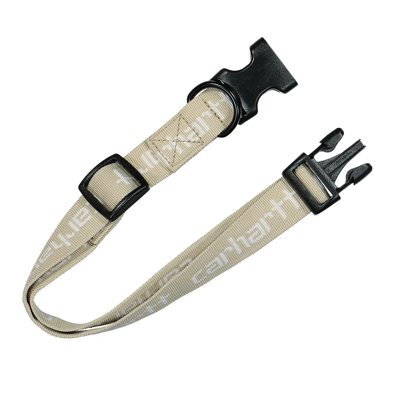 Script Dog Leash & Collar