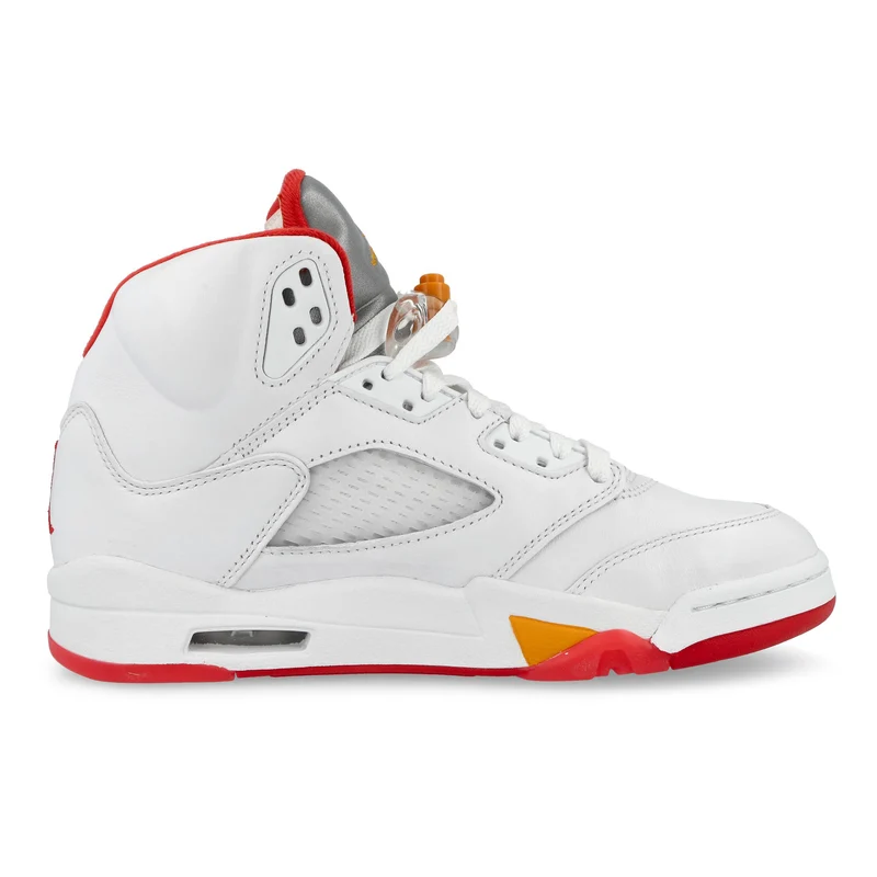 Air Jordan 5 Retro