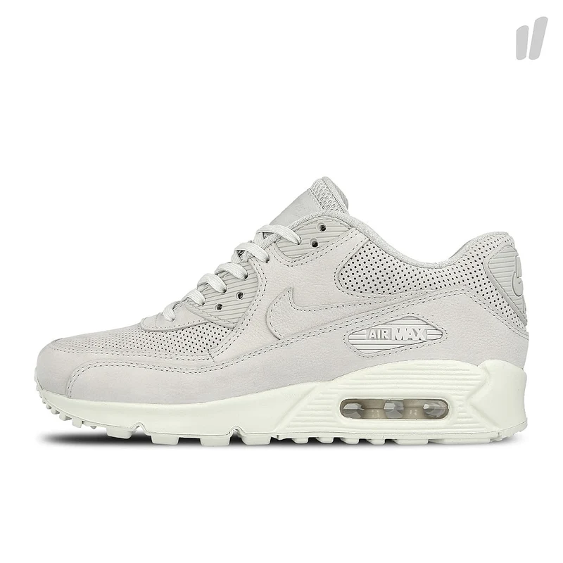 wmns air max 90 pinnacle
