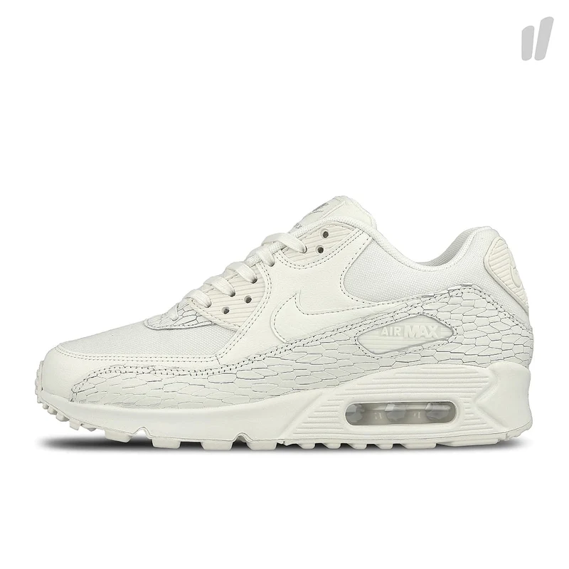 wmns air max 90 premium lea