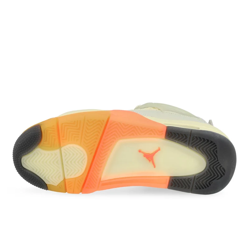Air Jordan 4 Retro Birds of Paradise