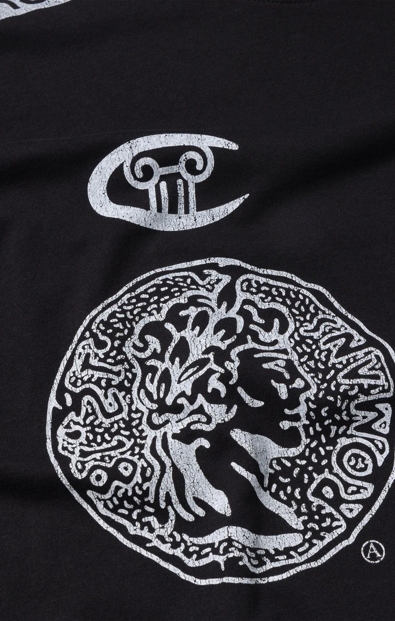 Unisex Graphic Long Sleeve T-Shirt Aries x Champion