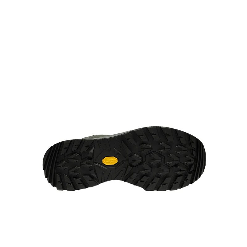 Renegade Evo GTX Lo Ws Damen (Graphit/Aprikose)