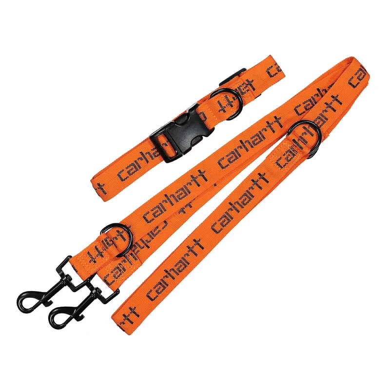 Script Dog Leash & Collar