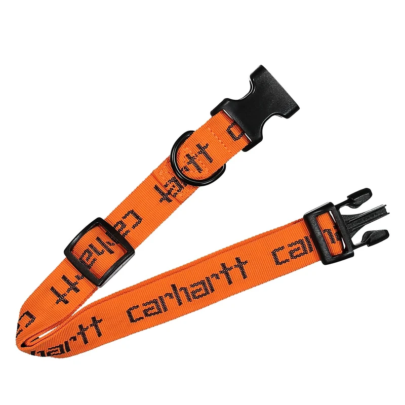 Script Dog Leash & Collar