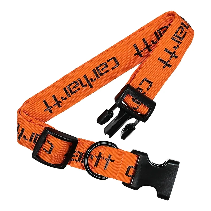 Script Dog Leash & Collar