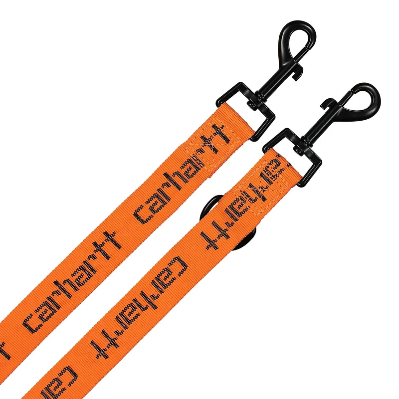 Script Dog Leash & Collar