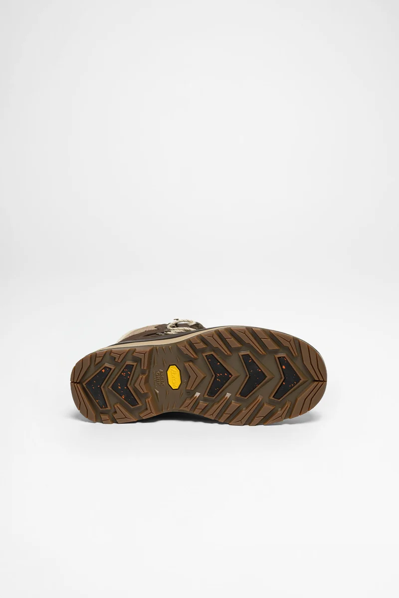 Renegade Evo Ice 2 GTX Ws Damen (Braun/Sand)