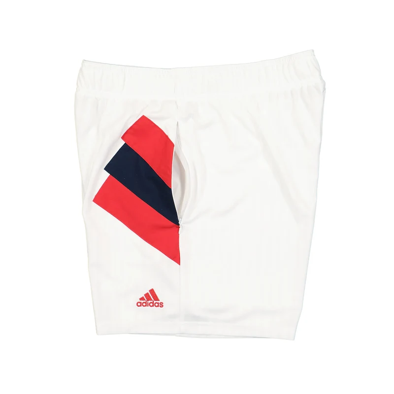 FC Arsenal Icon Shorts