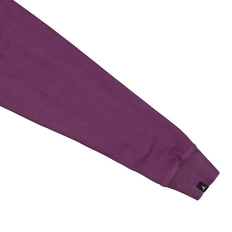 Air Jordan Wordmark Fleece Hoodie