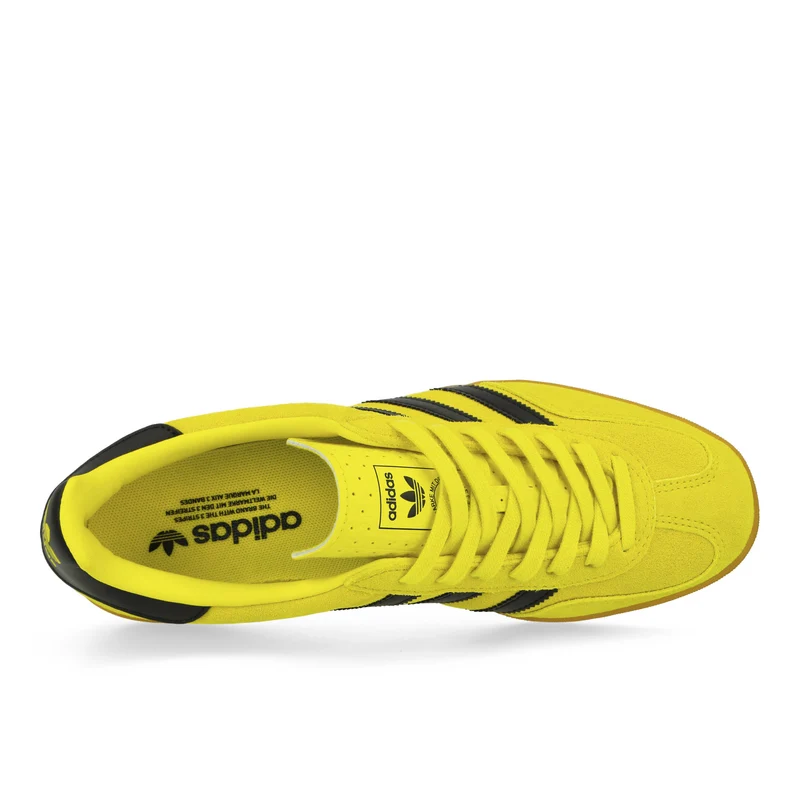 Gazelle Indoor