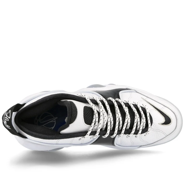 Air Zoom Flight 95