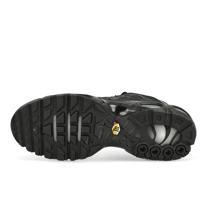 Air Max Plus