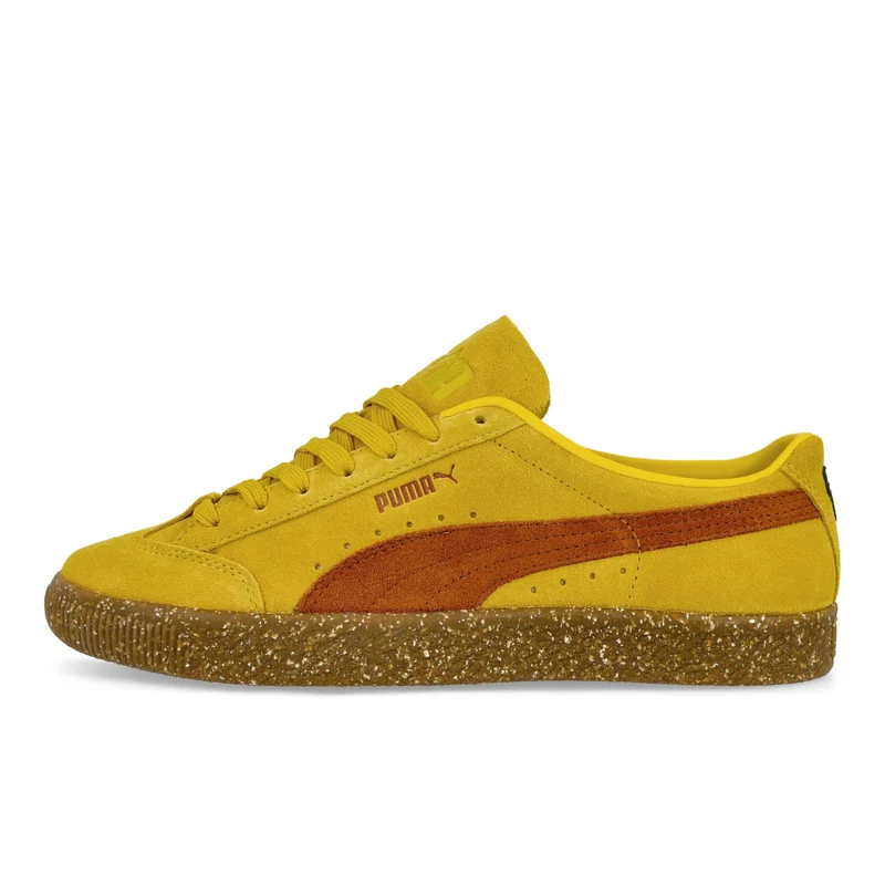 PAM x Puma Suede VTG F