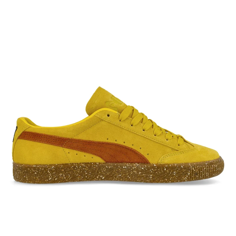 PAM x Puma Suede VTG F