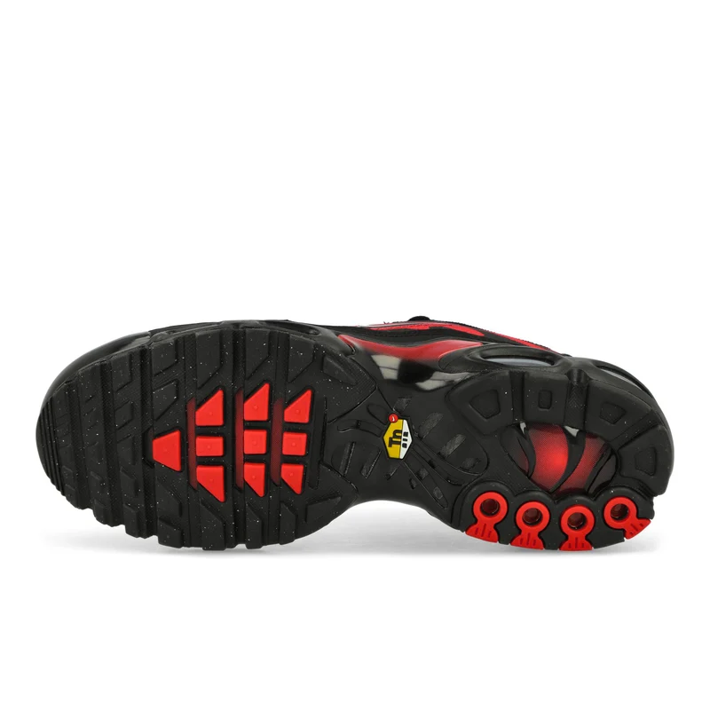 Air Max Plus