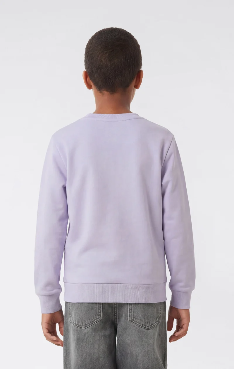 Boys’ Washed Effect Crewneck Sweatshirt Icons