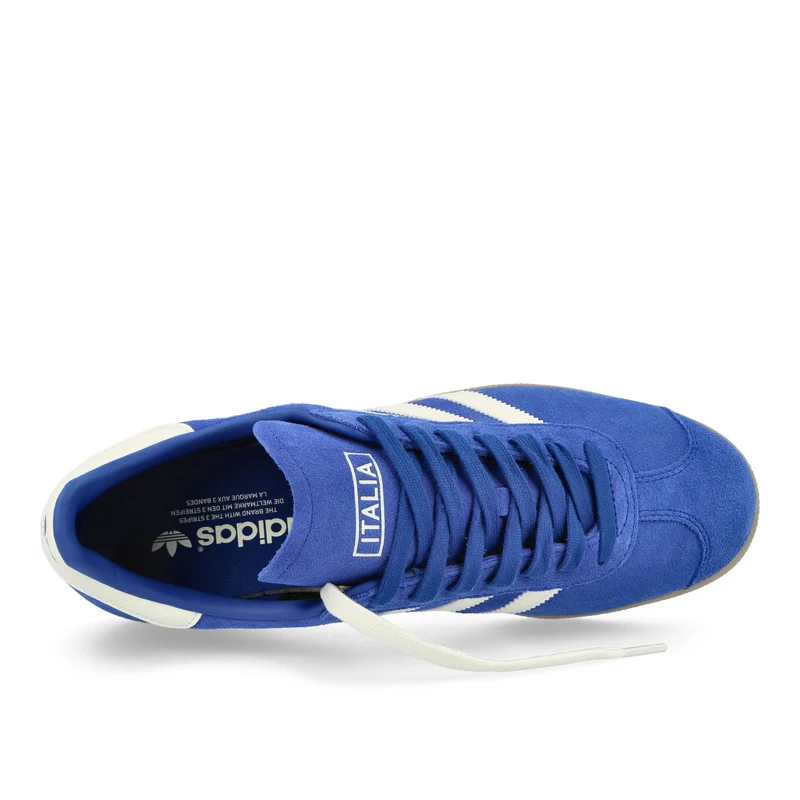 Gazelle